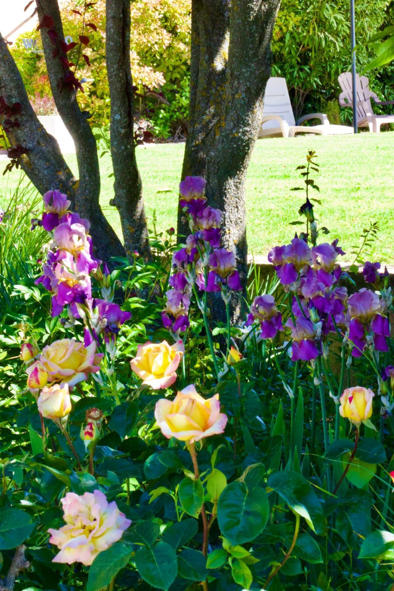 לינה וארוחת בוקר Saint-Julien-d'Asse La Bastide Des Roses מראה חיצוני תמונה